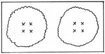 try a 10 x 20 Area