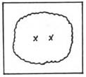 Plant in an 8 x 9 Area 8x9 Area