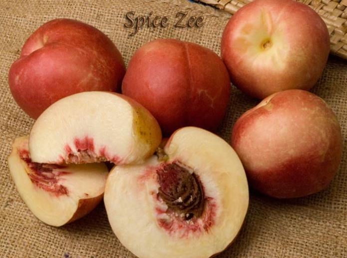 SpiceZee NectaPlum